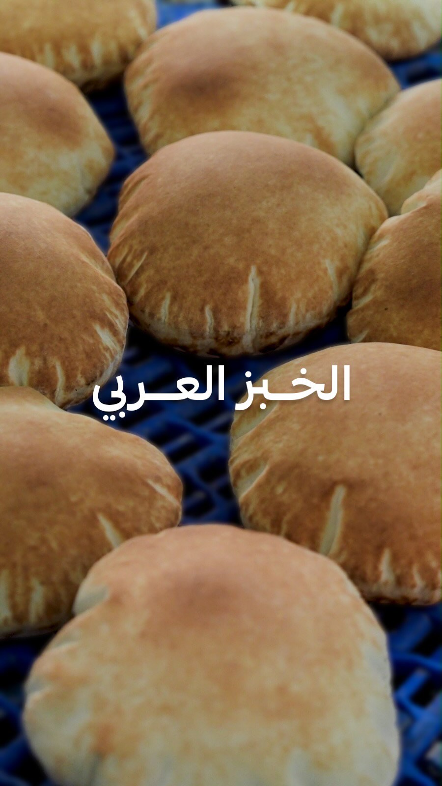 الخبز العربي